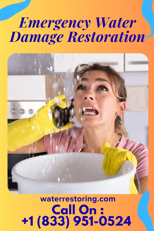 Emergency Water Damage Restoration in Barry, TX