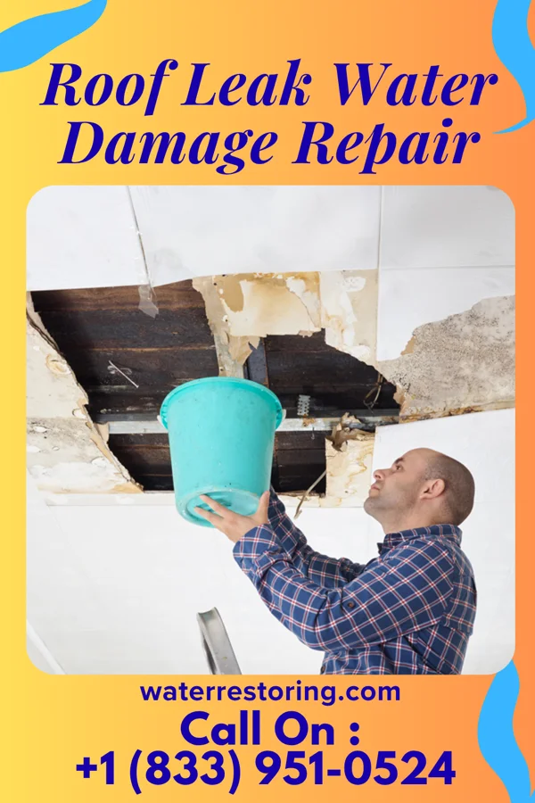 Roof Leak Water Damage Repair in Barry, TX